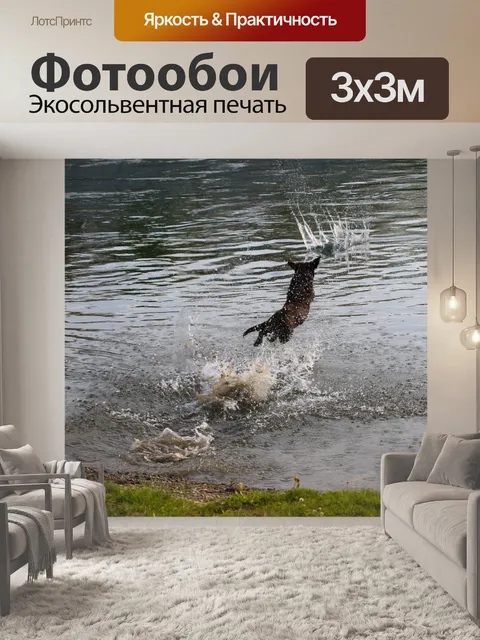 Фотообои Вода