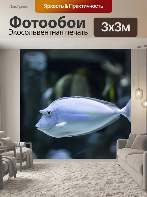 Фотообои Рыба