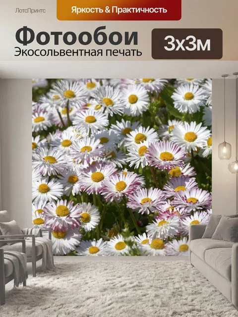 Фотообои Маргаритка