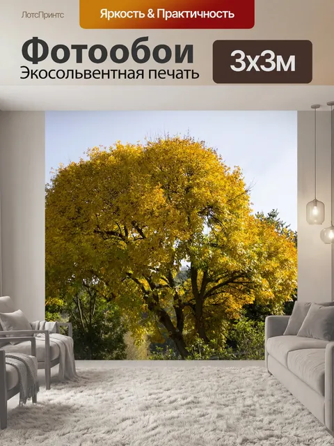 Фотообои Италия