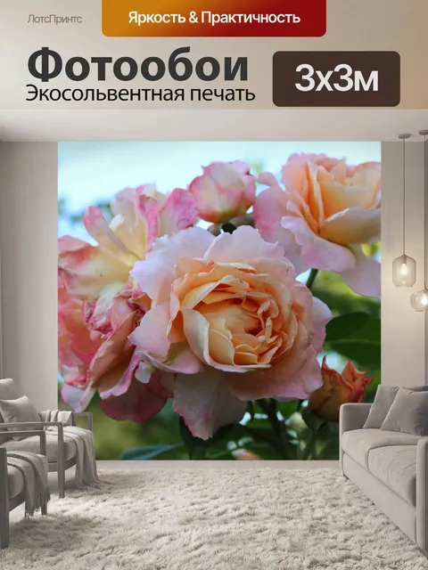 Фотообои Розы