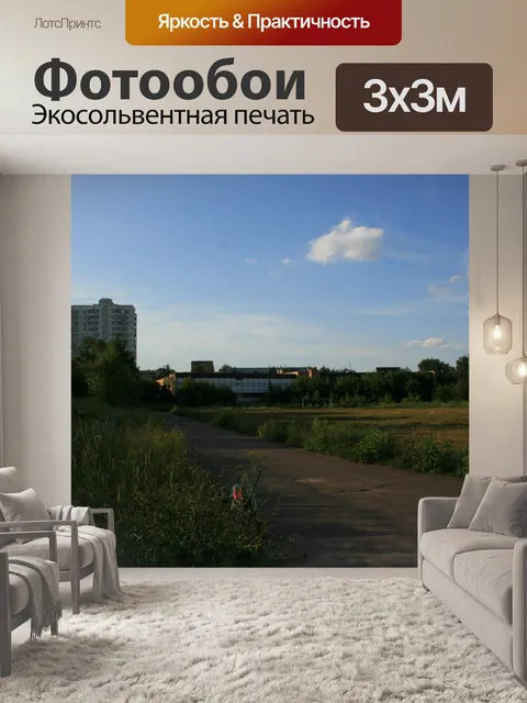 Фотообои Стадион