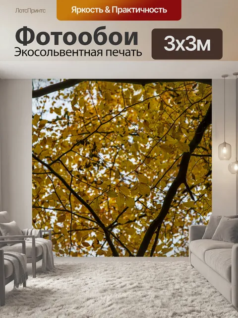 Фотообои Осеннее Дерево