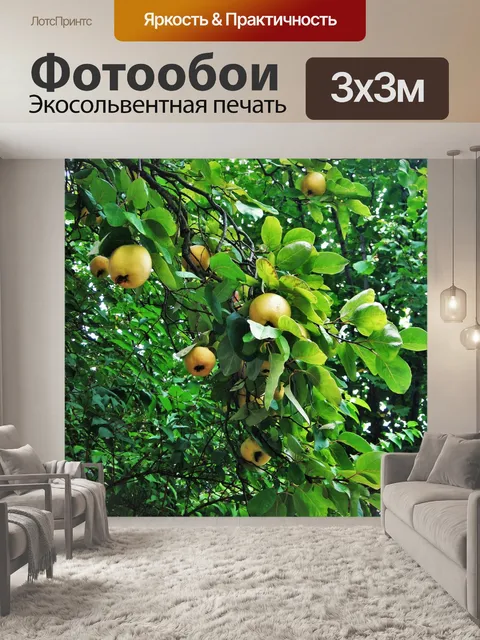 Фотообои Айва