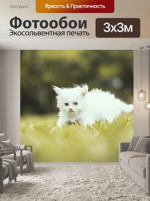 Фотообои Кошки