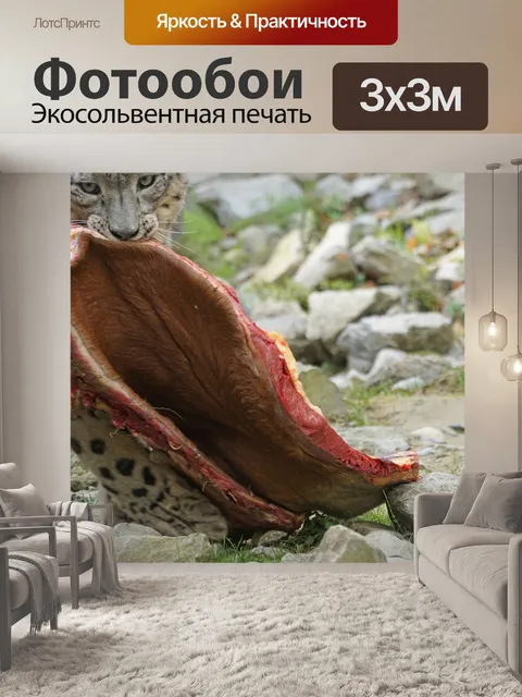 Фотообои Хищник