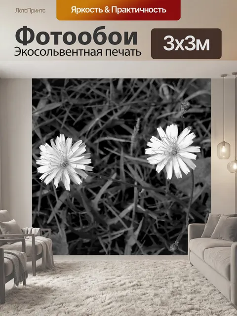 Фотообои Одуванчик
