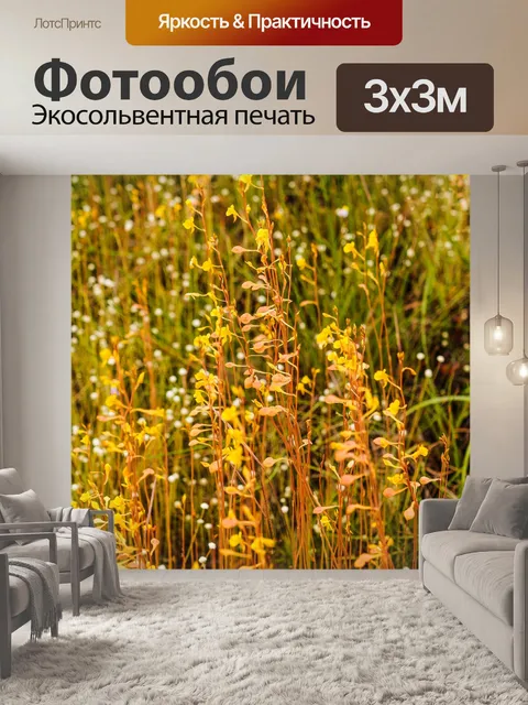 Фотообои Трава цветочное поле