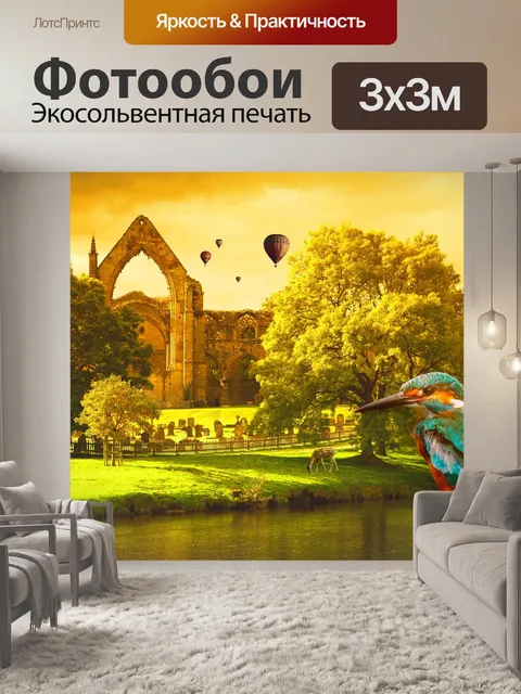 Фотообои Колибри