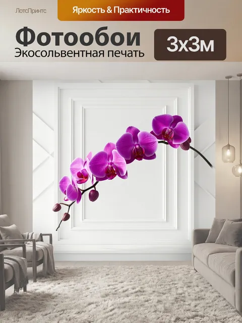 Фотообои Фиолетовые орхидеи на светлом фоне