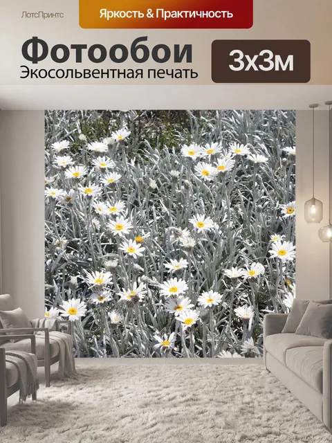 Фотообои Летние цветы