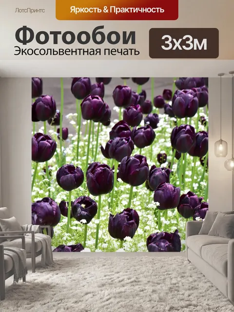 Фотообои Фиолетовые тюльпаны