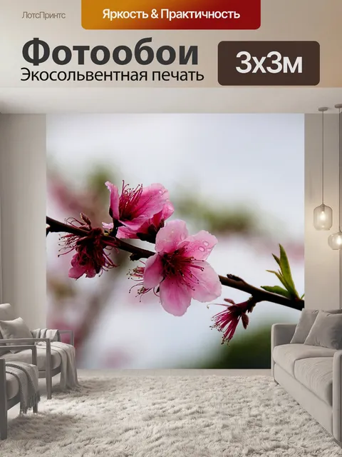 Фотообои Персиковый цвет с каплями дождя