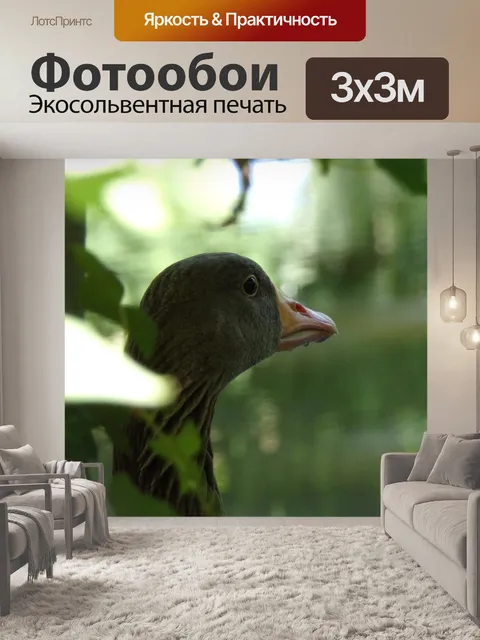 Фотообои Гусь