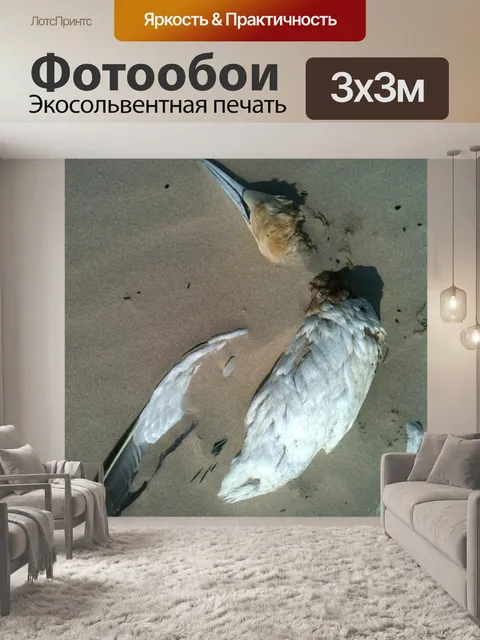 Фотообои Птица
