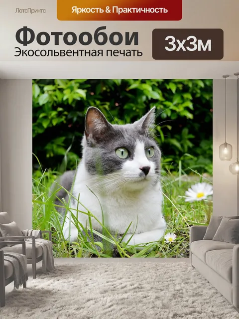 Фотообои Милый
