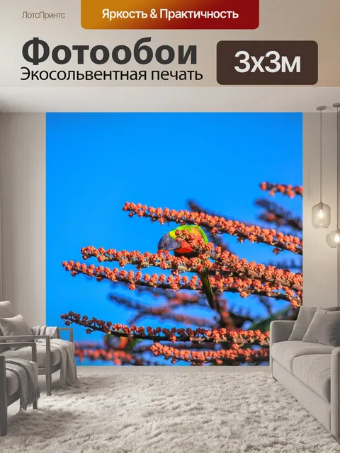 Фотообои Птица