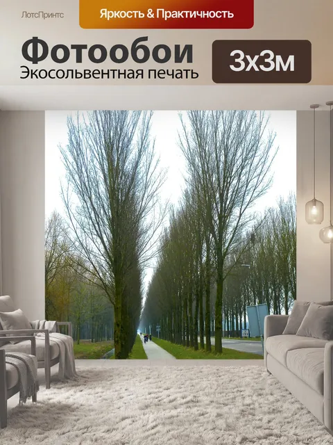 Фотообои Аллея