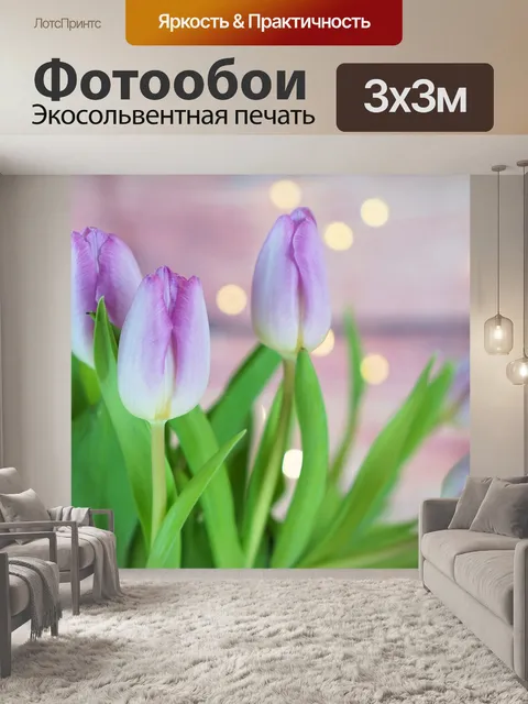 Фотообои Тюльпаны