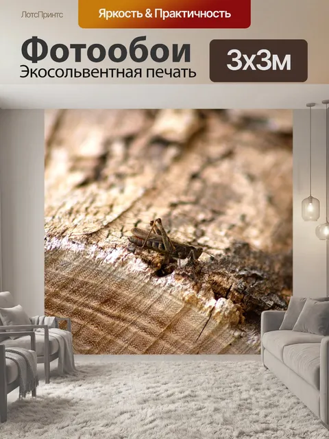 Фотообои Крикет