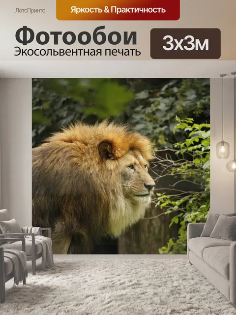 Фотообои Животное