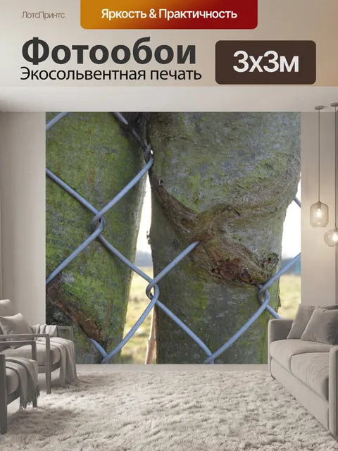 Фотообои Дерево