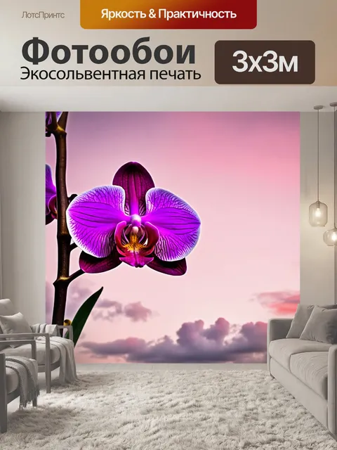 Фотообои орхидея, выделяющаяся на фоне розового неба с облаками