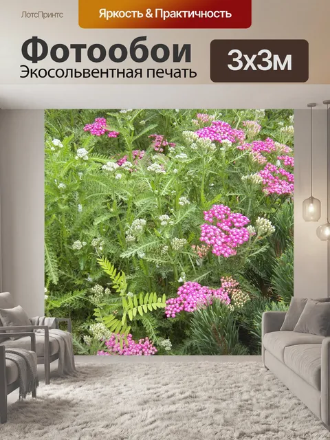 Фотообои Полевые цветы