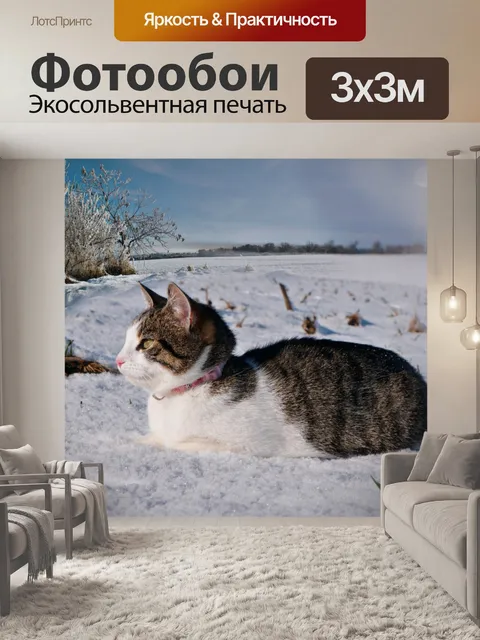 Фотообои Кошка