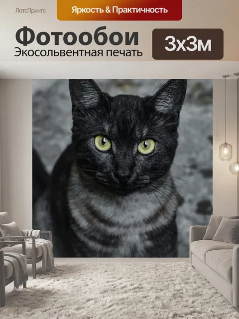 Фотообои Животные