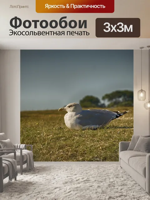 Фотообои Птица