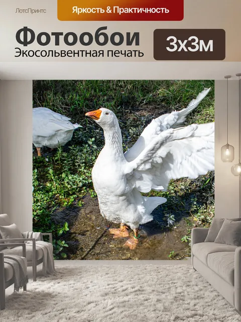 Фотообои Гуси
