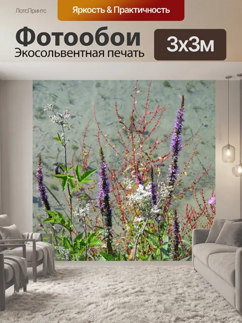 Фотообои Полевые цветы