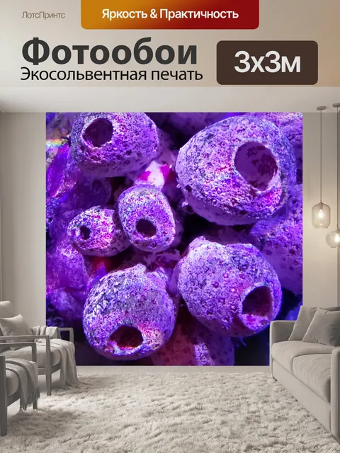 Фотообои коралловый