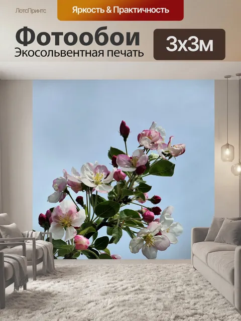 Фотообои Бутон