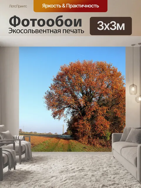 Фотообои Деревья