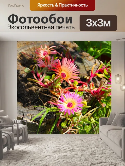 Фотообои Цветы
