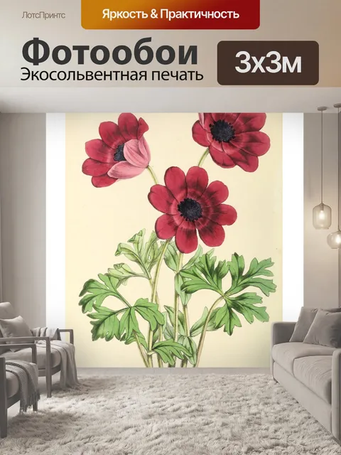 Фотообои Искусство иллюстрации садовых цветов