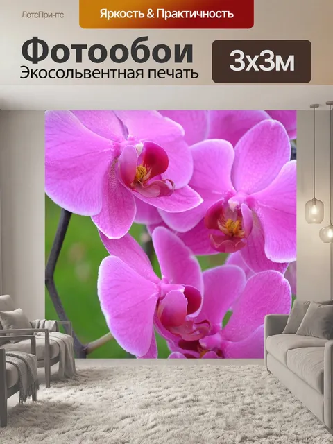 Фотообои Орхидеи
