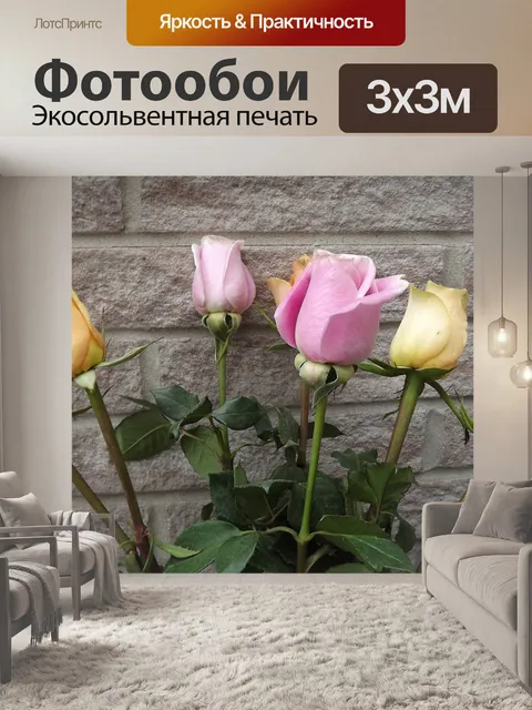 Фотообои Цветы