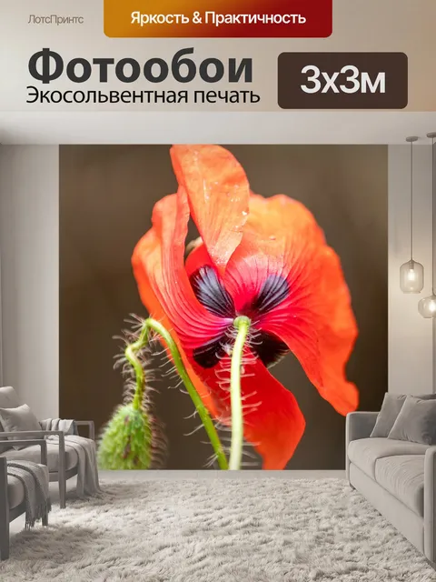 Фотообои Маки
