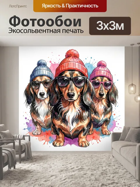 Фотообои Три таксы в шапках