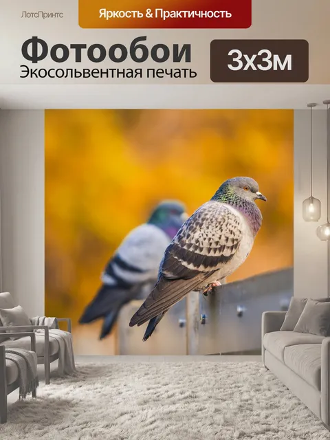 Фотообои Птица