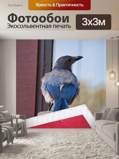 Фотообои Голубая птица