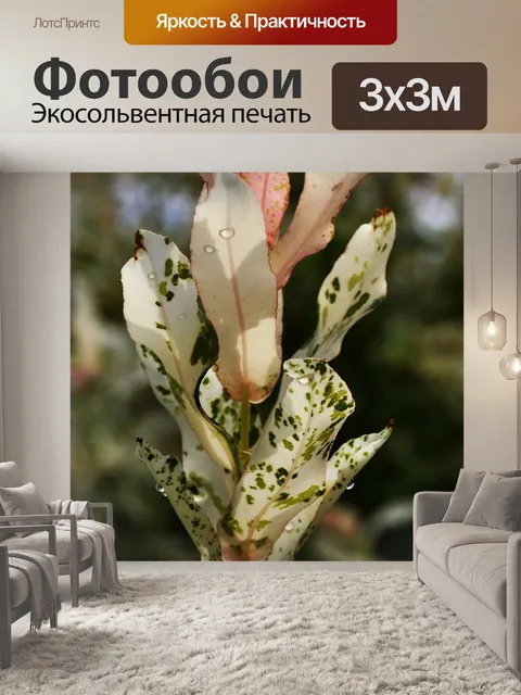 Фотообои Сад