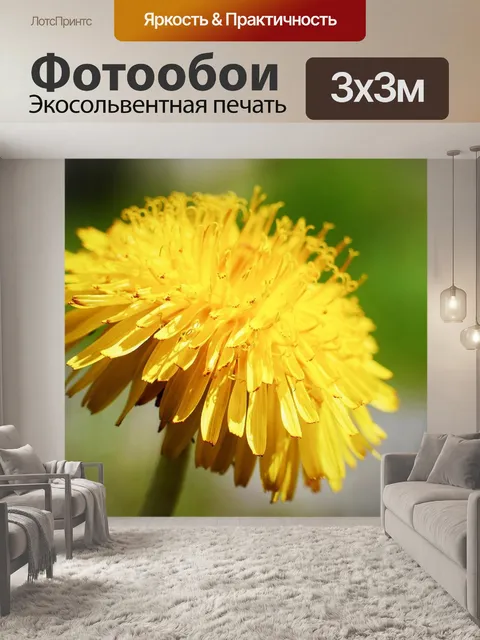Фотообои Одуванчик