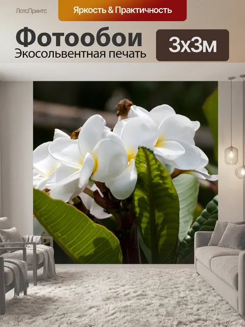 Фотообои Белые цветы