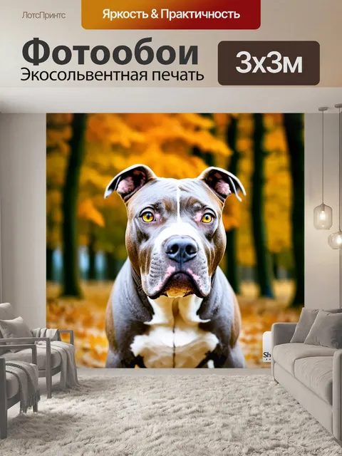 Фотообои Крупный план головы собаки породы питбуль