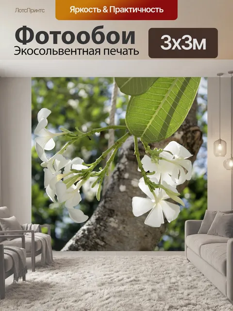 Фотообои Фарфор