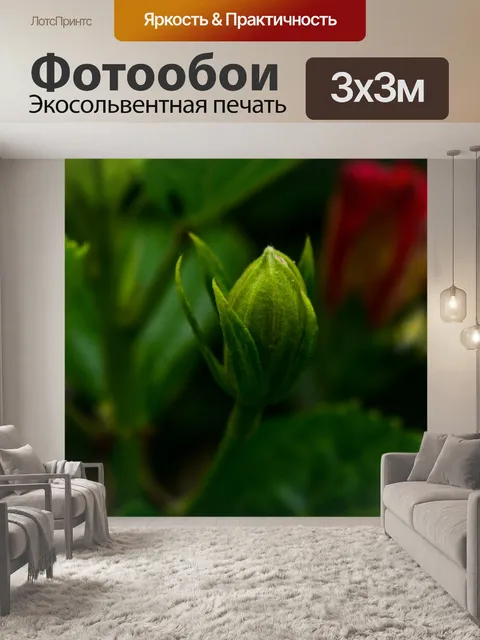 Фотообои Лист